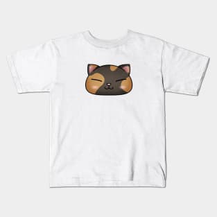 Cute Tortoiseshell Cat Face Kids T-Shirt